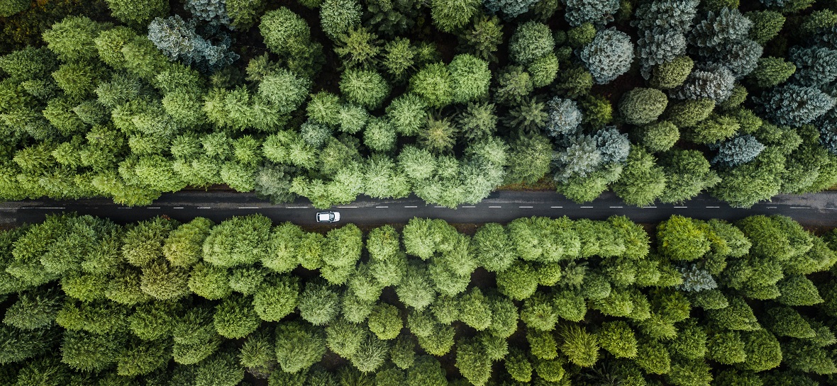 Portekiz’de LPG yükselişte